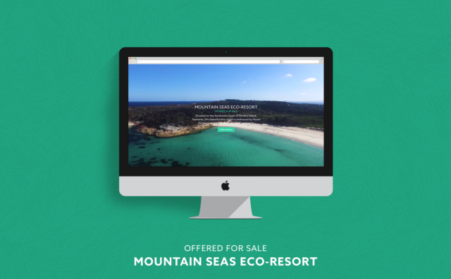 Mountain Seas Website Full Page V2 01